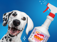 Новинка от KANGAROO! Profoam 4000+